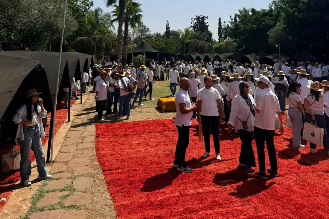 Vue d'ensemble du site : plusieurs centaines de participants en blanc, répartis sous des tentes et sur les tapis.